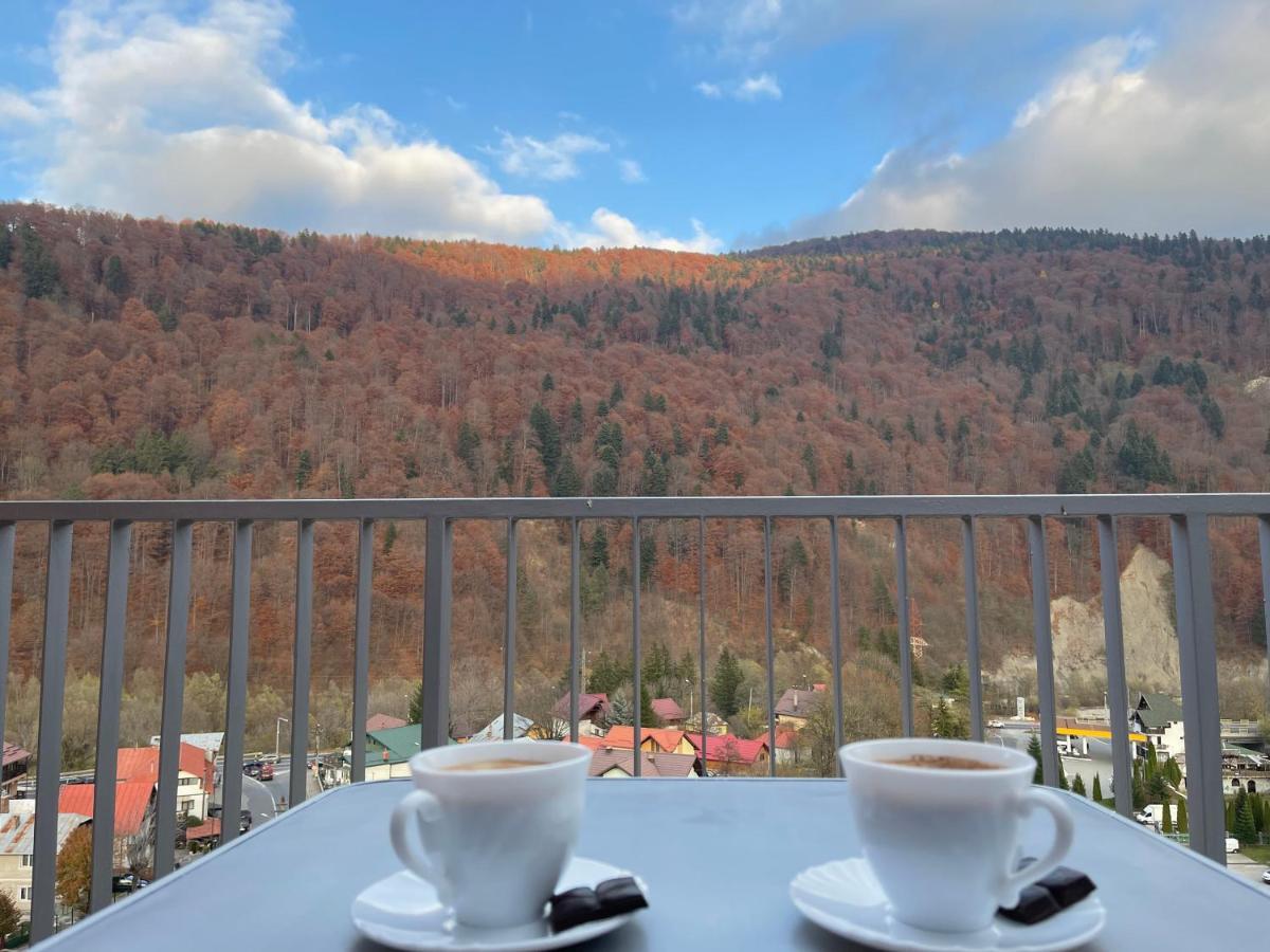 Viewapart Sinaia Exteriér fotografie